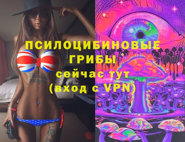 бошки Арсеньев
