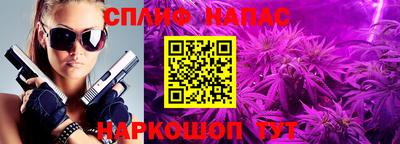 ECSTASY Кингисепп