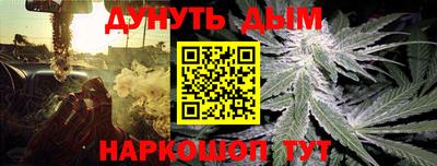 ГАЛЛЮЦИНОГЕННЫЕ ГРИБЫ Кинель