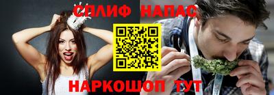 ECSTASY Кингисепп