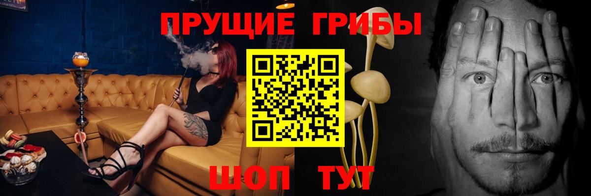 Кубинка  Псилоцибиновые грибы MAGIC MUSHROOMS  магазин продажи наркотиков  Вход с VPN 
